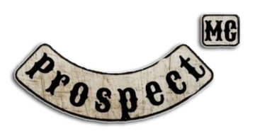 Prospect back patches
